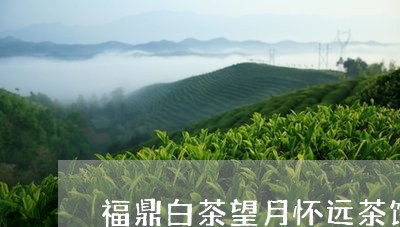 福鼎白茶望月怀远茶饼/2023082674028