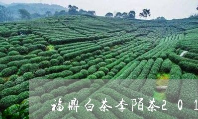 福鼎白茶李陌茶2016/2023082669871