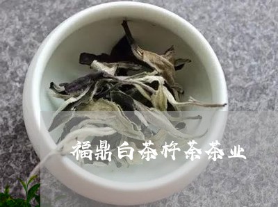 福鼎白茶杵荼茶业/2023090537262