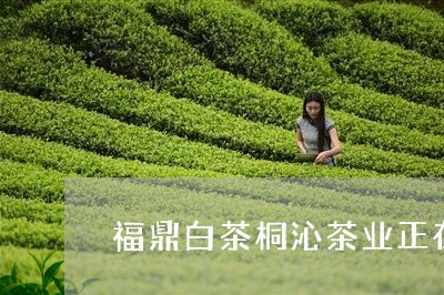 福鼎白茶桐沁茶业正在直播/2023042556482