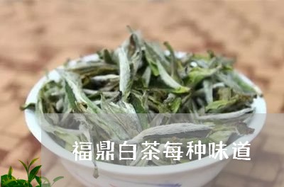 福鼎白茶每种味道/2023112668258