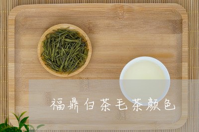 福鼎白茶毛茶颜色/2023112682614