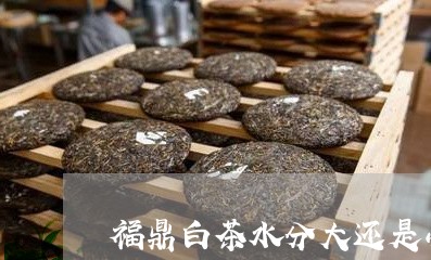 福鼎白茶水分大还是小/2023120881516