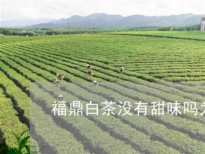 福鼎白茶没有甜味吗为什么/2023082501703