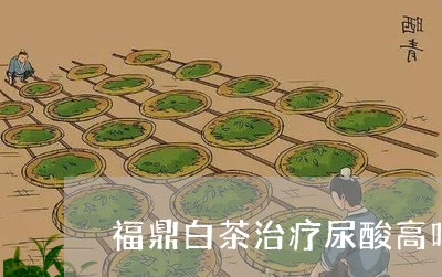 福鼎白茶治疗尿酸高吗/2023120803927