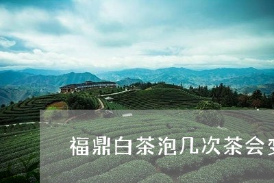 福鼎白茶泡几次茶会变色吗/2023092504048