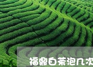 福鼎白茶泡几次要换水/2023120831615