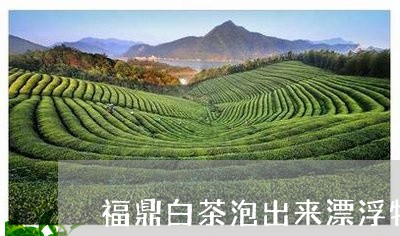 福鼎白茶泡出来漂浮物是什么/2023111442717