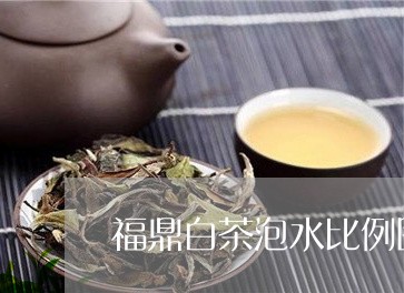 福鼎白茶泡水比例图示视频/2023110967259