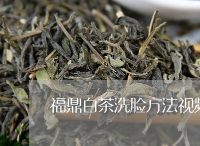 福鼎白茶洗脸方法视频教程/2023110980482