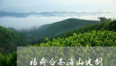 福鼎白茶海山定制/2023112618502