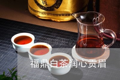 福鼎白茶润心贡眉/2023090726057