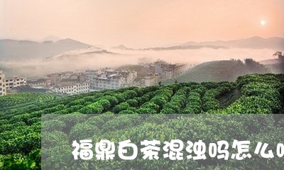 福鼎白茶混浊吗怎么喝好/2023111648252