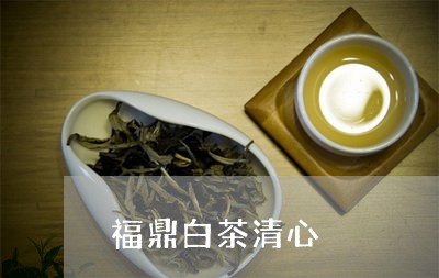 福鼎白茶清心/2023052218572