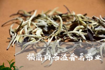 福鼎白茶溢香茗茶业/2023082615358