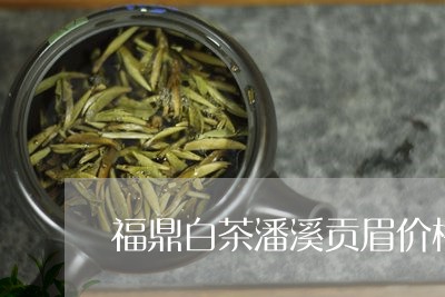 福鼎白茶潘溪贡眉价格/2023092016181