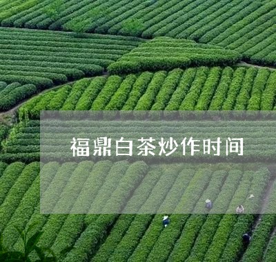 福鼎白茶炒作时间/2023070787462