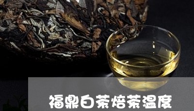 福鼎白茶焙茶温度/2023090503050