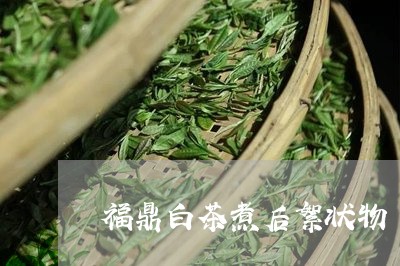 福鼎白茶煮后絮状物/2023120305147