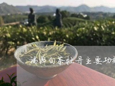 福鼎白茶牡丹主要功效/2023120782826