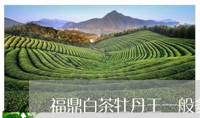 福鼎白茶牡丹王一般多少钱/2023110984048