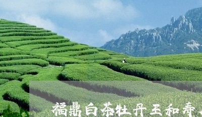 福鼎白茶牡丹王和寿眉功效/2023062727260