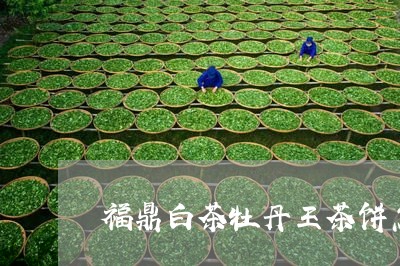 福鼎白茶牡丹王茶饼怎么开/2023062790504