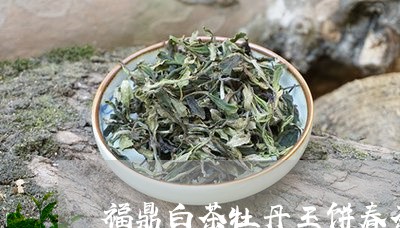 福鼎白茶牡丹王饼春茶价格/2023062737272