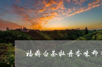 福鼎白茶牡丹香味都有哪些/2023042615940