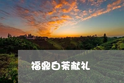 福鼎白茶献礼/2023052215058