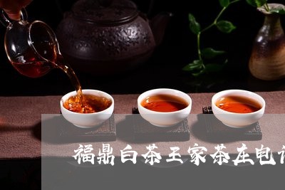 福鼎白茶王家茶庄电话多少/2023041748703