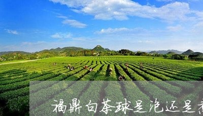 福鼎白茶球是泡还是煮/2023120746080