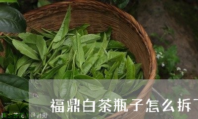 福鼎白茶瓶子怎么拆下来/2023111630817