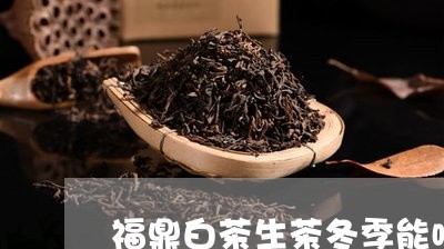 福鼎白茶生茶冬季能喝吗/2023062961493