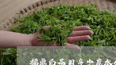 福鼎白茶用多少度水合适/2023092107159