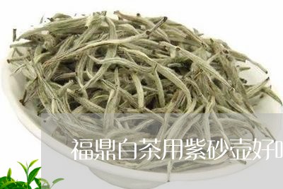 福鼎白茶用紫砂壶好吗/2023042614947