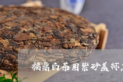 福鼎白茶用紫砂盖杯怎样泡/2023062990684