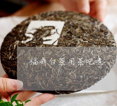 福鼎白茶用茶吧煮/2023070714938