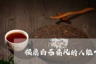 福鼎白茶痛风的人能喝吗/2023092119826