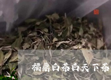 福鼎白茶白天下茶叶/2023120574935