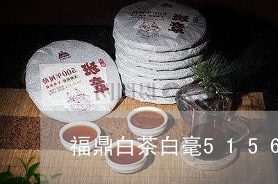 福鼎白茶白毫5156/2023111583706