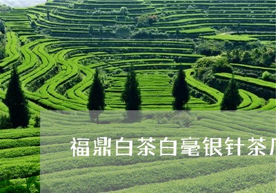 福鼎白茶白毫银针茶厂/2023120874047