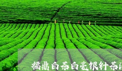 福鼎白茶白毫银针茶汤/2023120885371