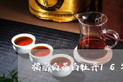 福鼎白茶白牡丹16年/2023120751502