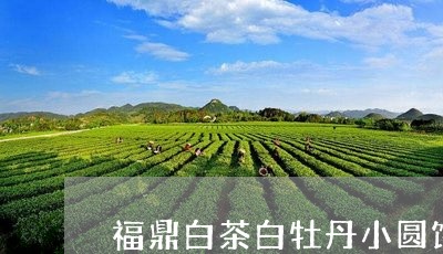 福鼎白茶白牡丹小圆饼/2023062921703