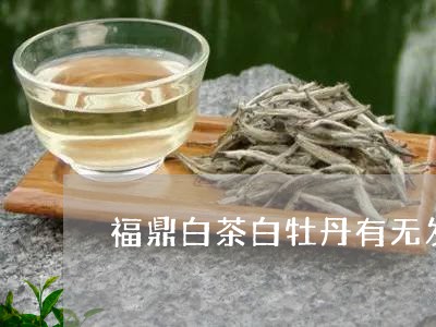 福鼎白茶白牡丹有无发孝过/2023092561825