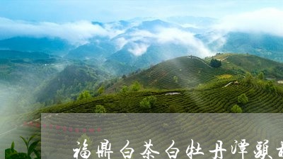 福鼎白茶白牡丹潭头村/2023091554059