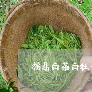 福鼎白茶白牡丹白毛茶/2023120738483