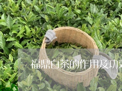 福鼎白茶的作用及功效/2023120778068