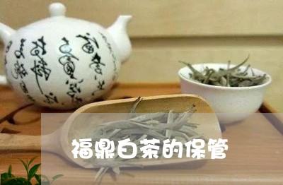 福鼎白茶的保管/2023060828480